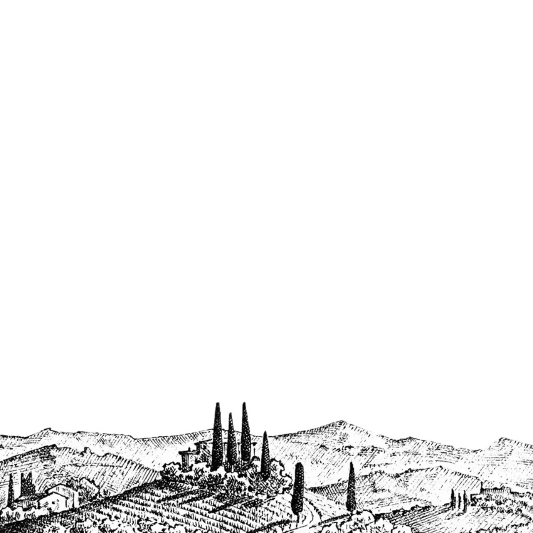 Background Photo